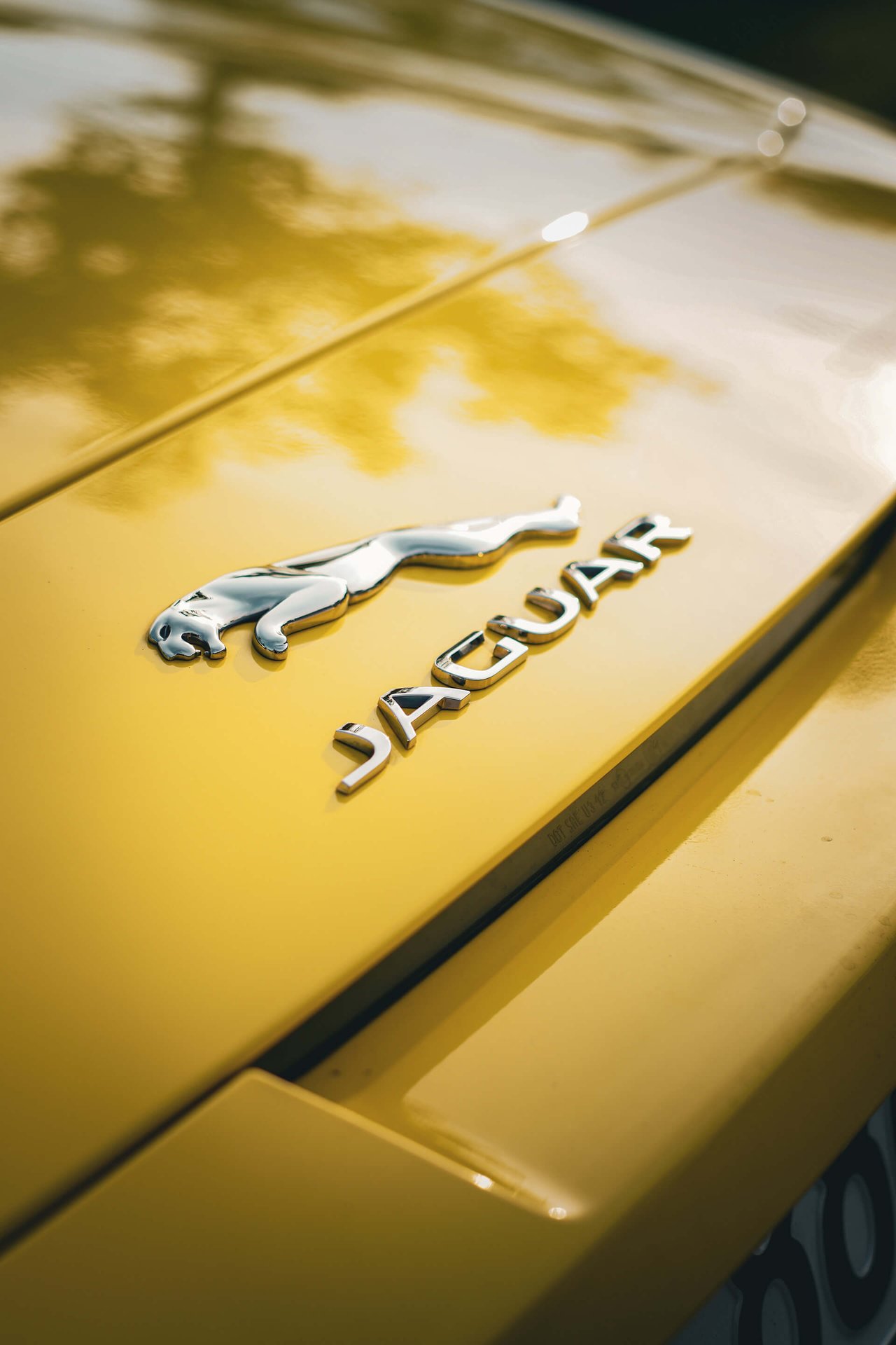 Jaguar-Emblem in Chrom auf gelbem Lack, Detailaufnahme mit Bokeh – Automotive-Fotografie WOLF[F]OTO